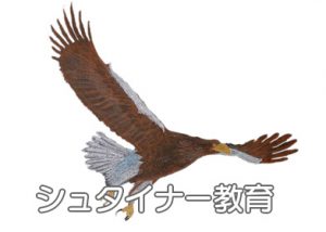 学校の魅力_シュタイナー教育