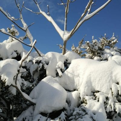 ある大雪の日